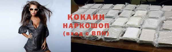 хмурый Арсеньев