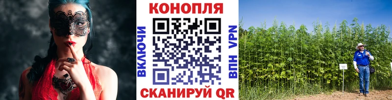 МАРИХУАНА семена  Нестеров 
